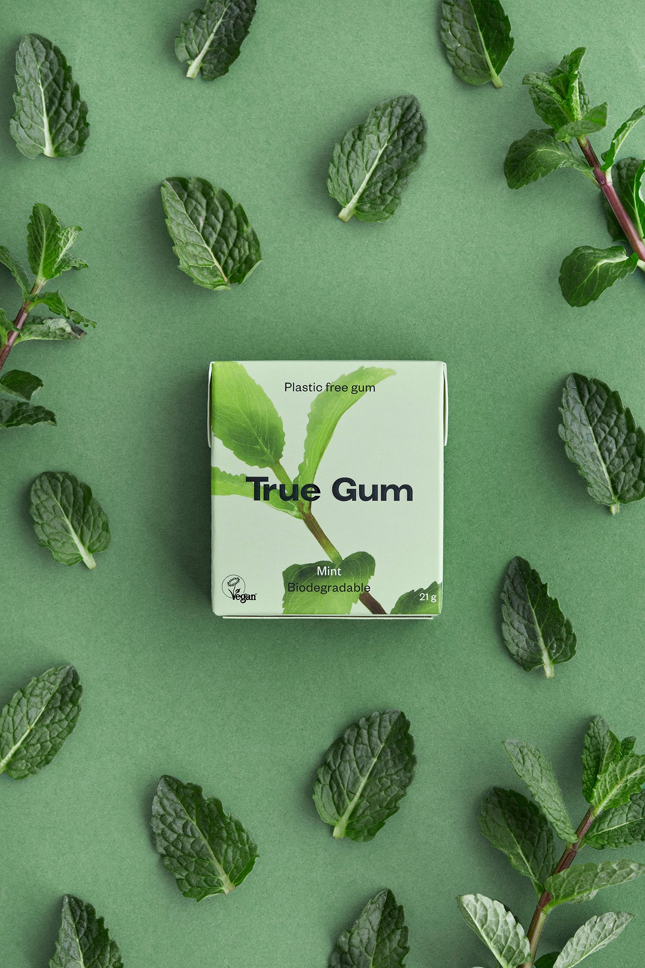 True Co. Plastic Free Chewing Gum - 6 pack