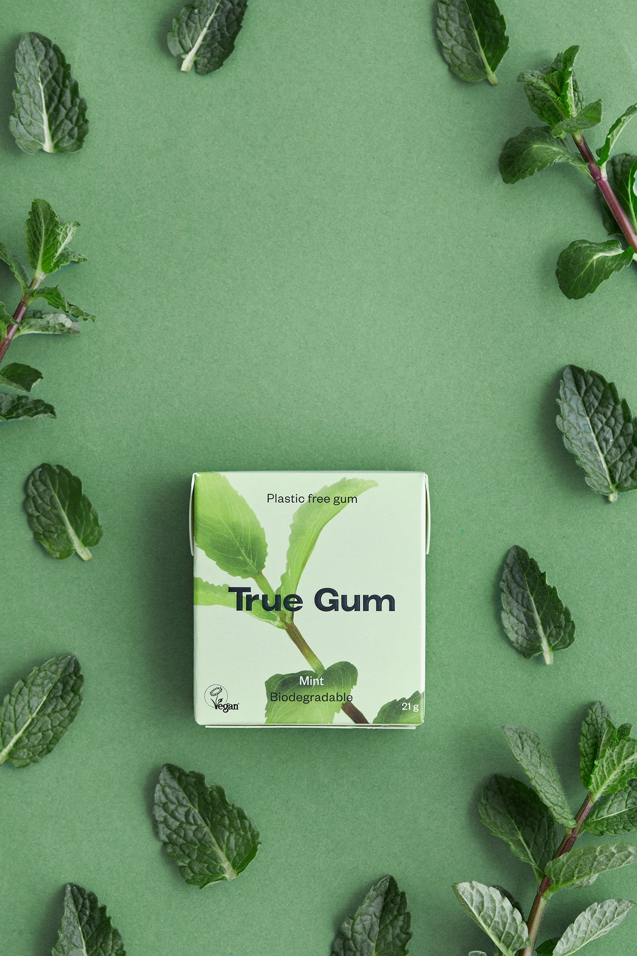 True Co. Plastic Free Chewing Gum - 6 pack