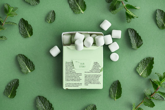 True Co. Plastic Free Chewing Gum - 6 pack