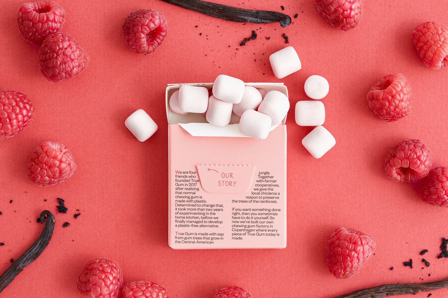 True Gum® Raspberry and Vanilla