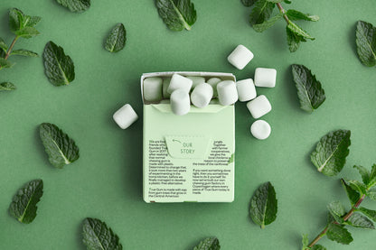 True Co. Plastic Free Chewing Gum - 6 pack