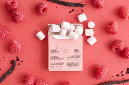 True Gum® Raspberry and Vanilla